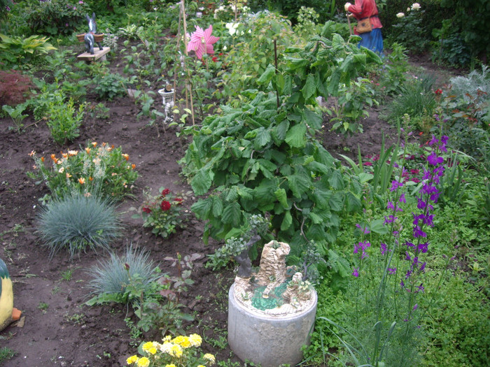 IMGP2643 - Flori 2012