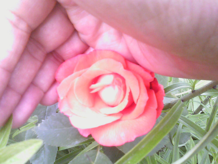 Picture 024