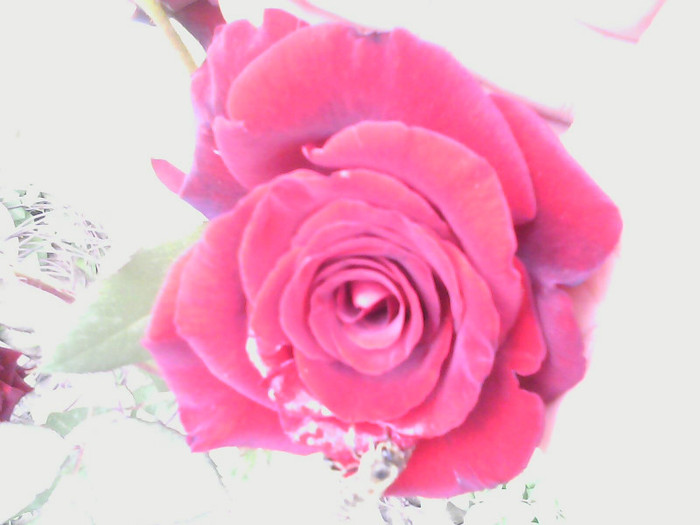 Picture 022