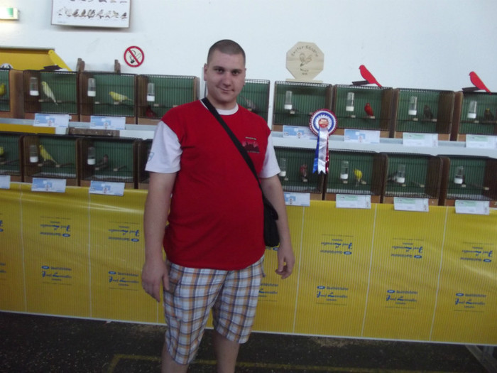 printre canari