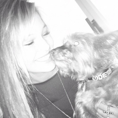 tumblr_m3rdfdBbw51rvgr2no1_500_001 - Thx - For - Watching