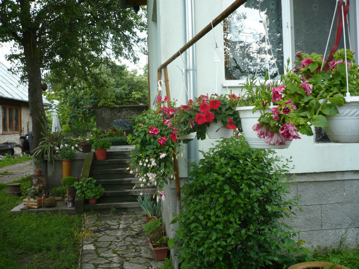 P1010933 - FLORI 26 mai