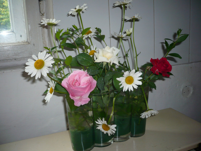 P1010947 - FLORI 26 mai