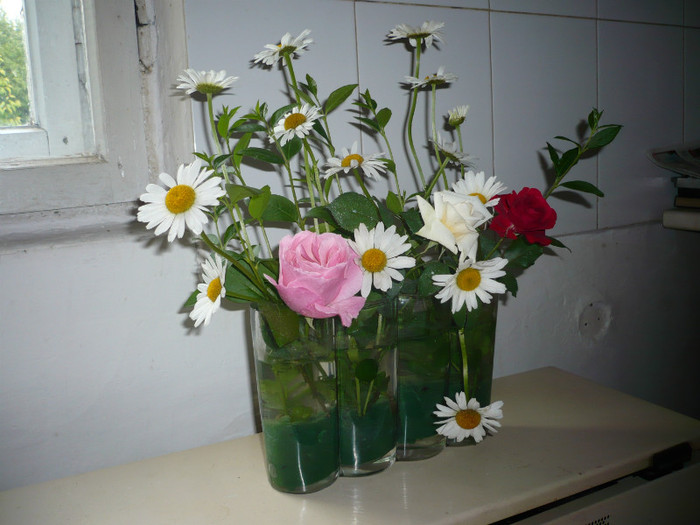 P1010948 - FLORI 26 mai