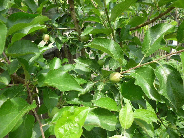 P1000633