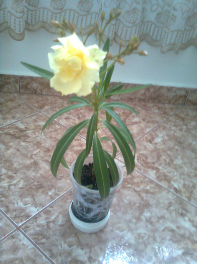 Clau^^2187