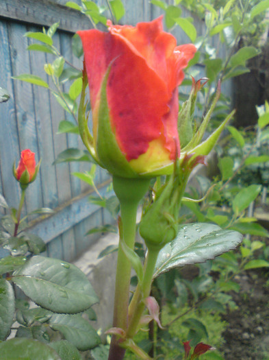 DSC05589