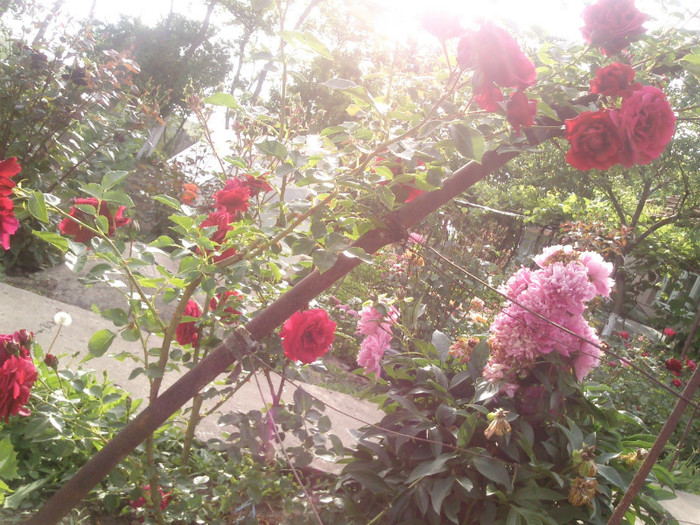 Photo0108