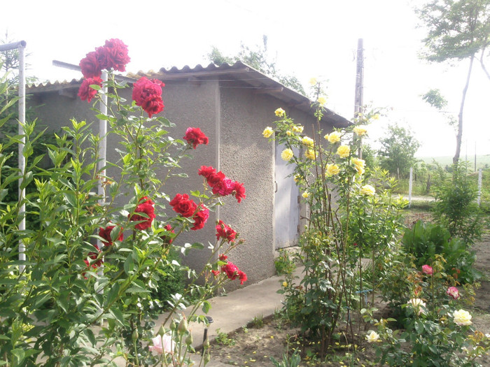 Photo0111