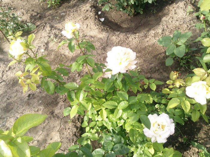 Photo0112