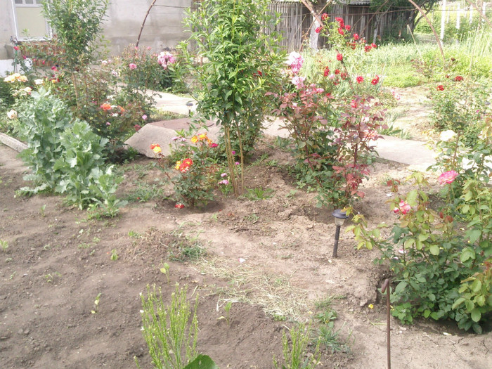 Photo0113