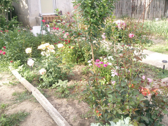 Photo0114