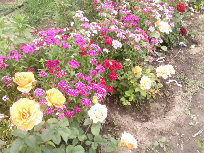 Photo0119