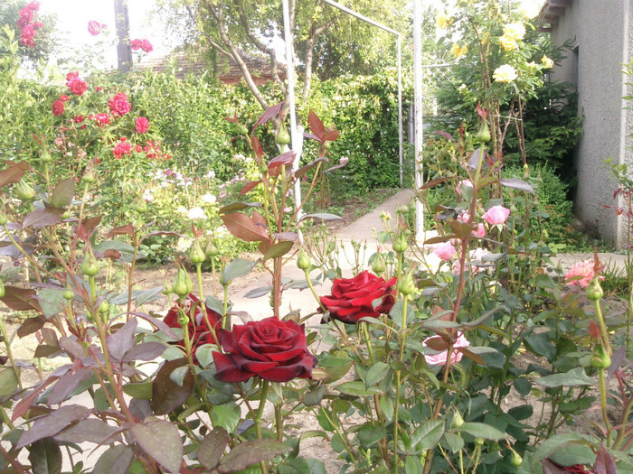 Photo0124