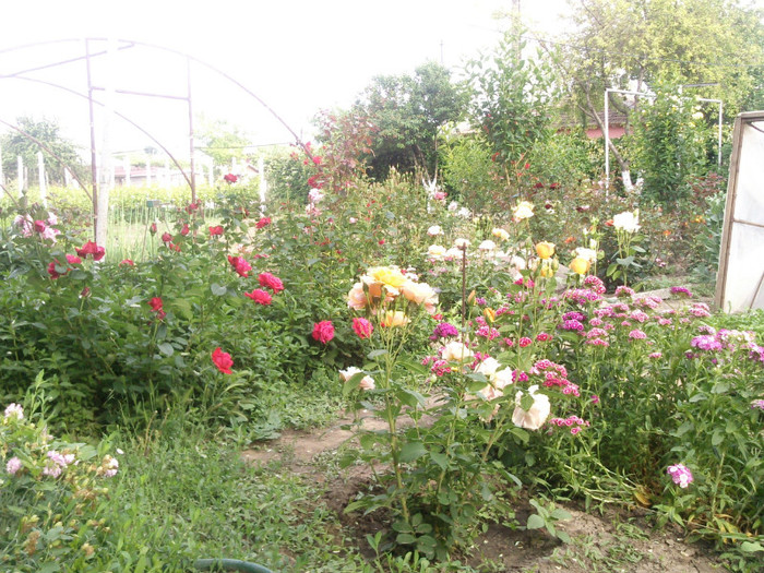 Photo0138