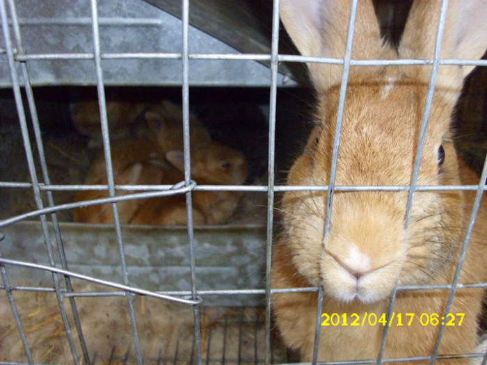 Picture 540