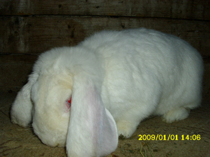 Picture 140
