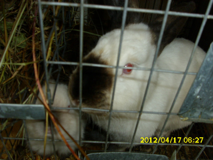 Picture 542