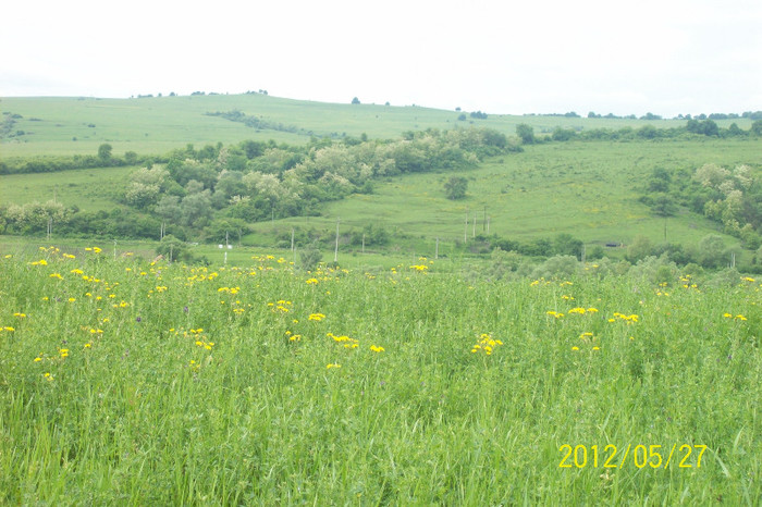 100_4422; Paraul FURCILOR si Dealul GORGANEL -movila de unde isi trage numele satul Palos ,aici ar fi fost inh
