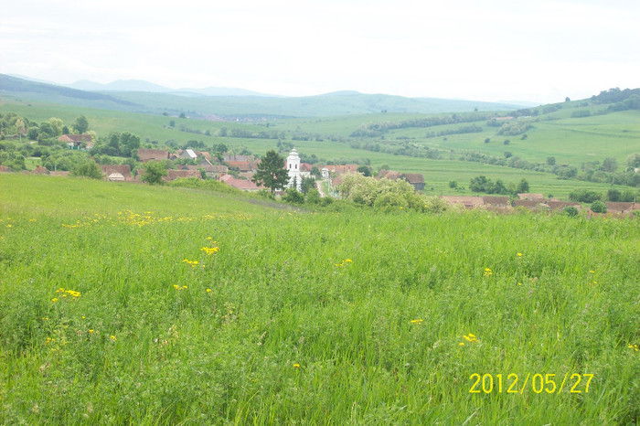 100_4425; Satul Palos vazut de pe Dealul Bisericii , in zare la orizont muntii Baraoltului.
