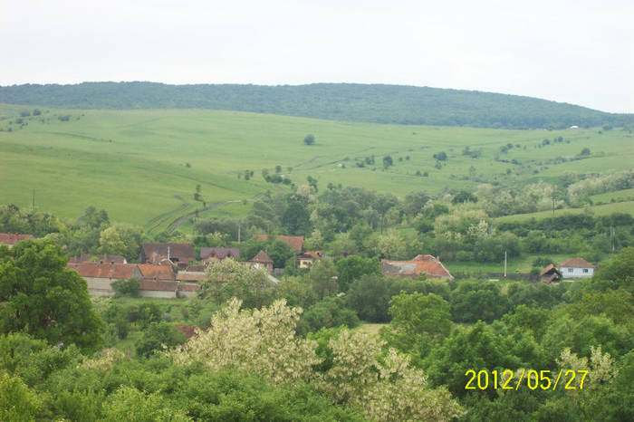 100_4403; Satul si drumul spre Padurea LENTEA ,spre Cohalm-Rupea .
