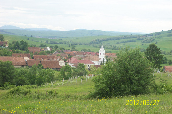 100_4408