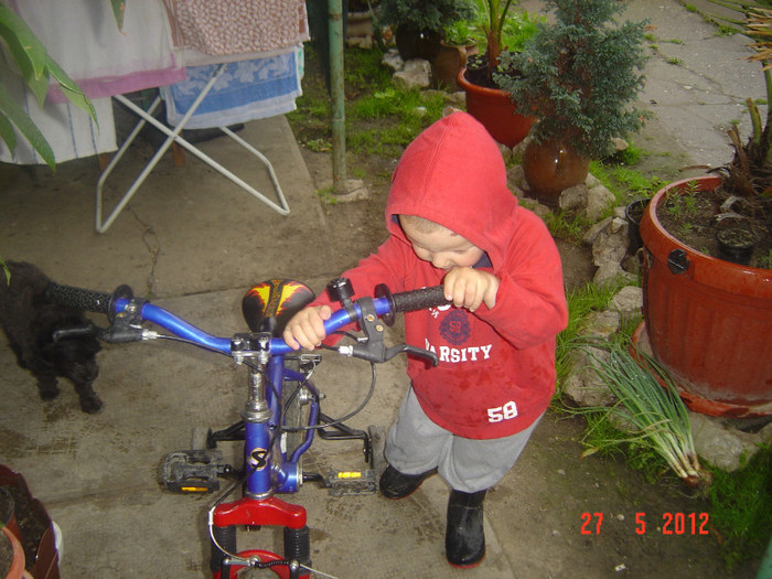 poze 735