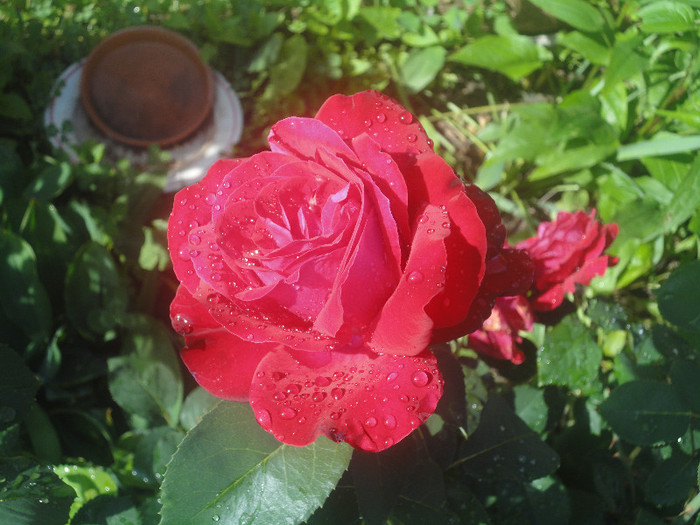 DSC04807