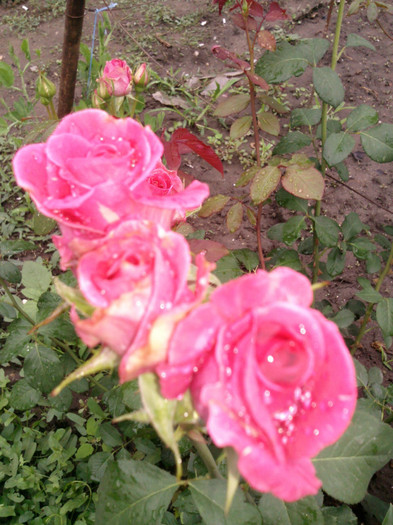Photo0146