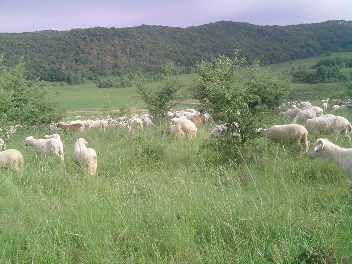 P260512_08.57_[01]