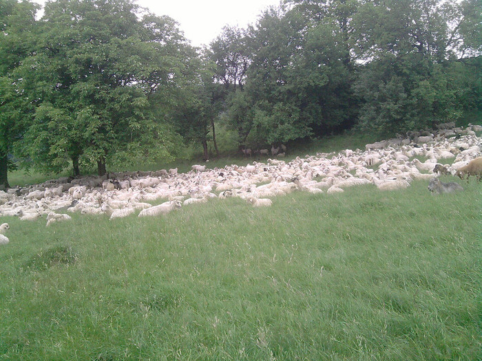 P260512_13.39_[02]
