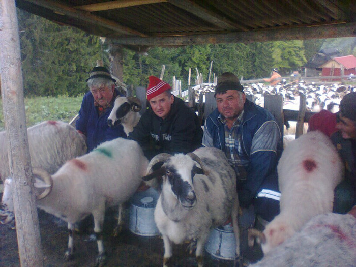 546723_309165435832149_100002160854871_703312_353413258_n