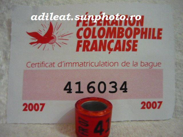 FRANTA-2007 - FRANTA-ring collection