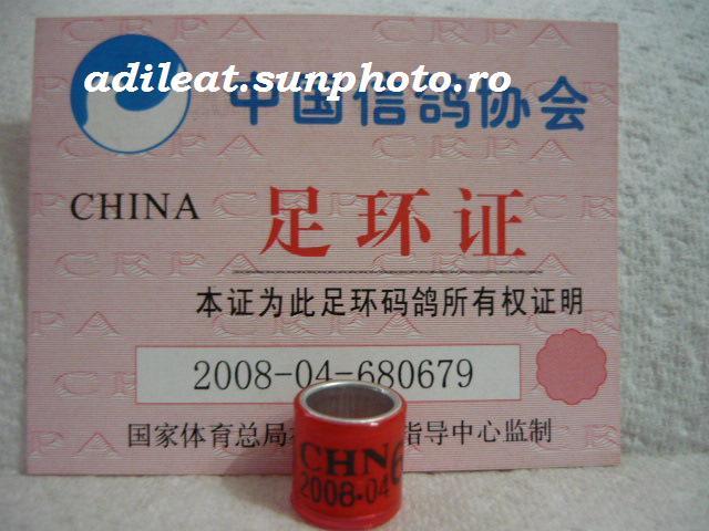 CHINA-2008 - CHINA-ring collection