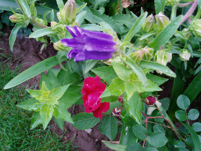 P1010408