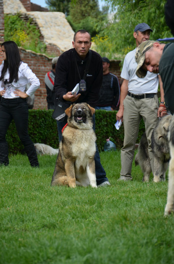 DSC_0007 - EXPOZITIE TARGOVISTE 20-05-2012