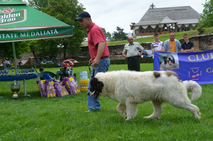 DSC_0011 - EXPOZITIE TARGOVISTE 20-05-2012