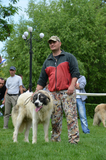 DSC_0012 - EXPOZITIE TARGOVISTE 20-05-2012