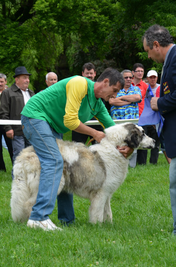 DSC_0016 - EXPOZITIE TARGOVISTE 20-05-2012