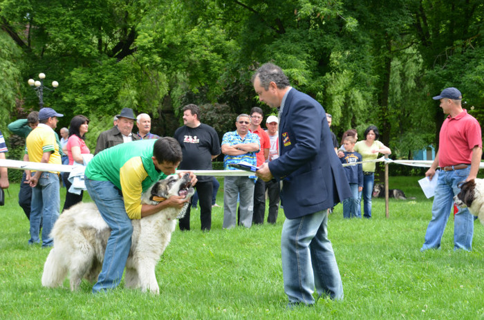 DSC_0018 - EXPOZITIE TARGOVISTE 20-05-2012