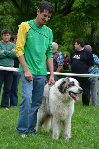 DSC_0031 - EXPOZITIE TARGOVISTE 20-05-2012