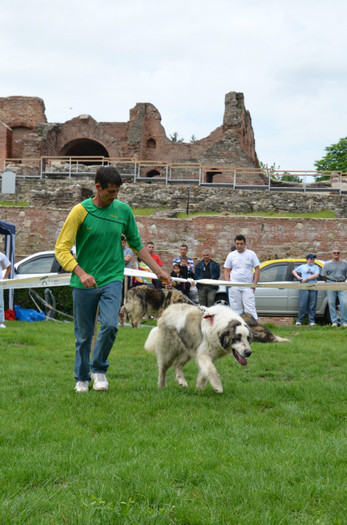 DSC_0033 - EXPOZITIE TARGOVISTE 20-05-2012