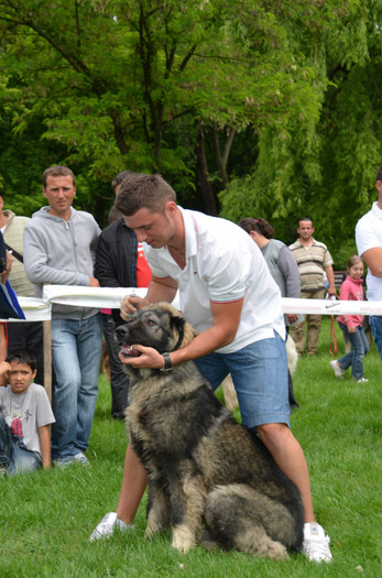 DSC_0052 - EXPOZITIE TARGOVISTE 20-05-2012