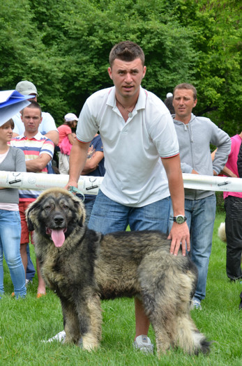 DSC_0064 - EXPOZITIE TARGOVISTE 20-05-2012