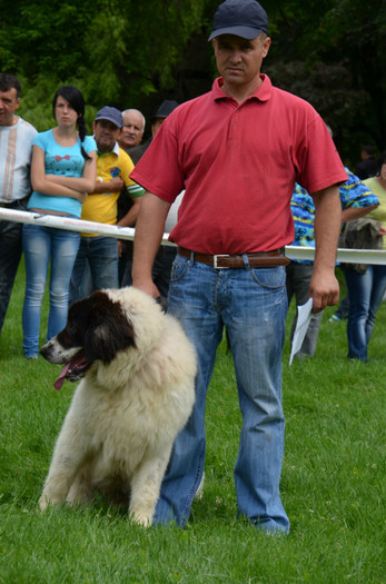 DSC_0106 - EXPOZITIE TARGOVISTE 20-05-2012