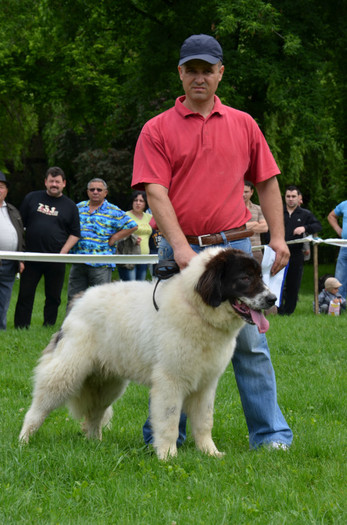 DSC_0109 - EXPOZITIE TARGOVISTE 20-05-2012