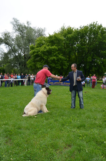 DSC_0138 - EXPOZITIE TARGOVISTE 20-05-2012