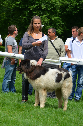 DSC_0260 - EXPOZITIE TARGOVISTE 20-05-2012