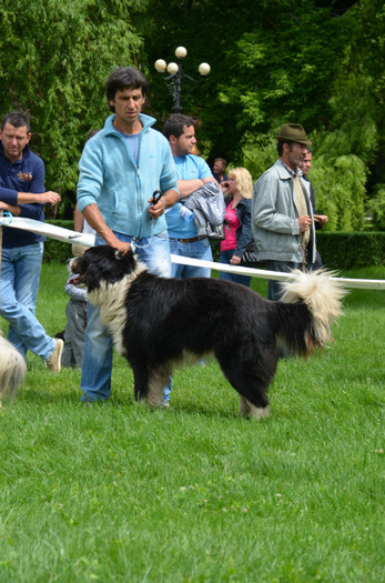 DSC_0263 - EXPOZITIE TARGOVISTE 20-05-2012
