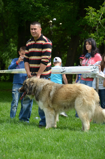 DSC_0265 - EXPOZITIE TARGOVISTE 20-05-2012